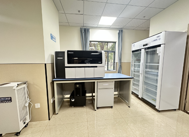 1725178780906 1725178780906